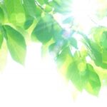 コロナ後遺症と嗅覚障害の詳細へ